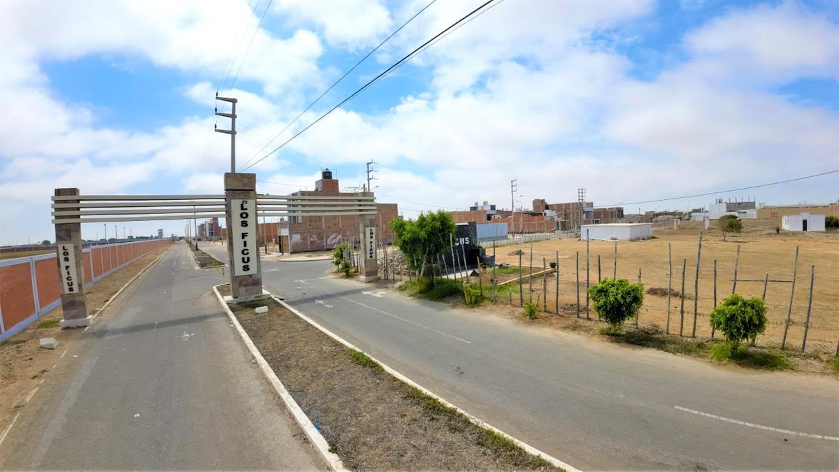 VENTA DE TERRENOS EN URB. LOS FICUS, PIMENTEL
